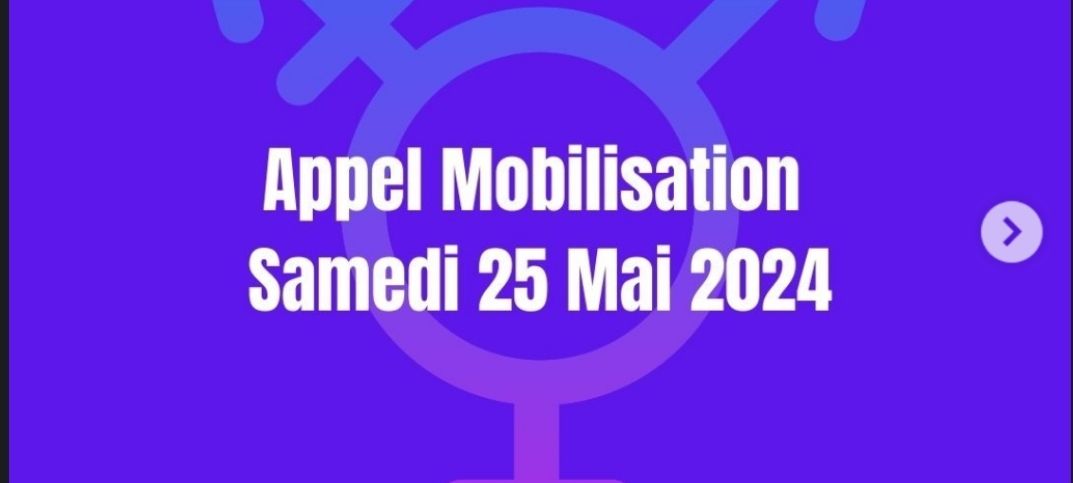 Mobilisation droits des mineurs.es trans