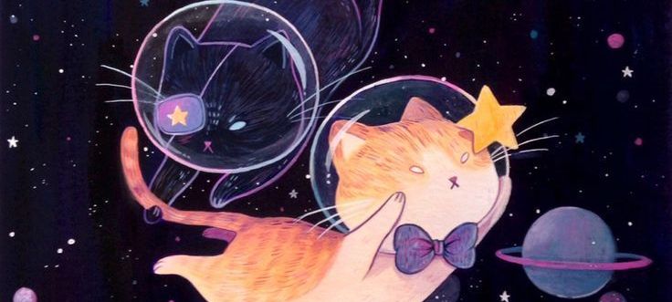 La Nuit des Étoiles ✨️