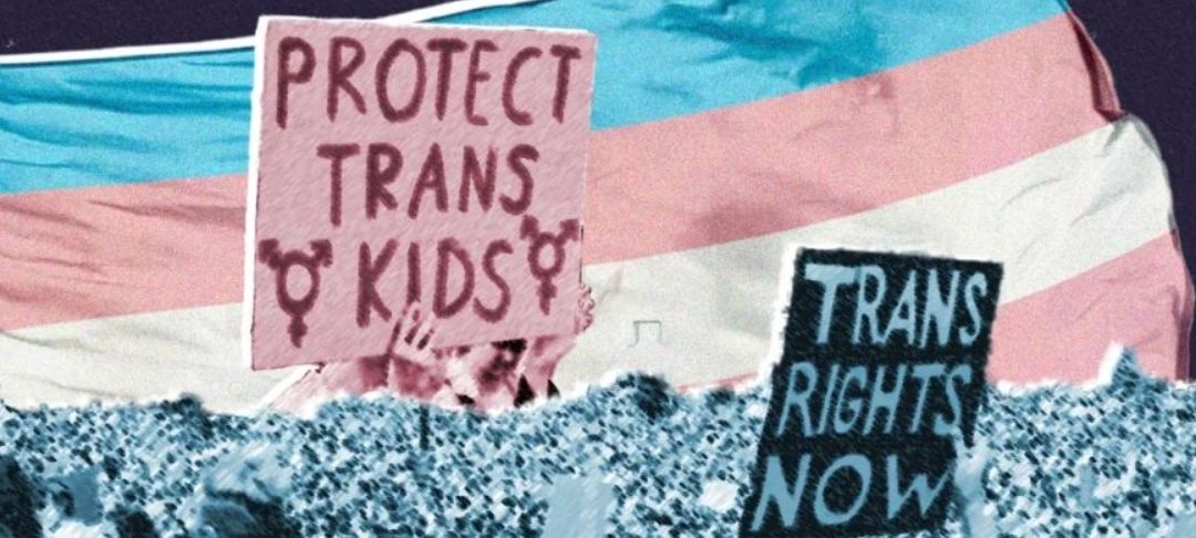 Rassemblement contre l'offensive anti-trans ✊🏳️‍⚧️