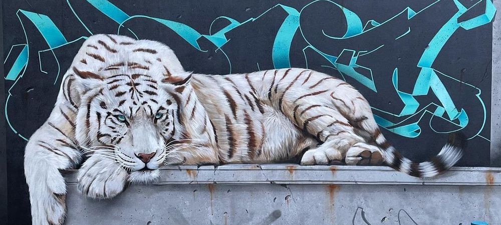 street art à Champigny ( colors festival)
