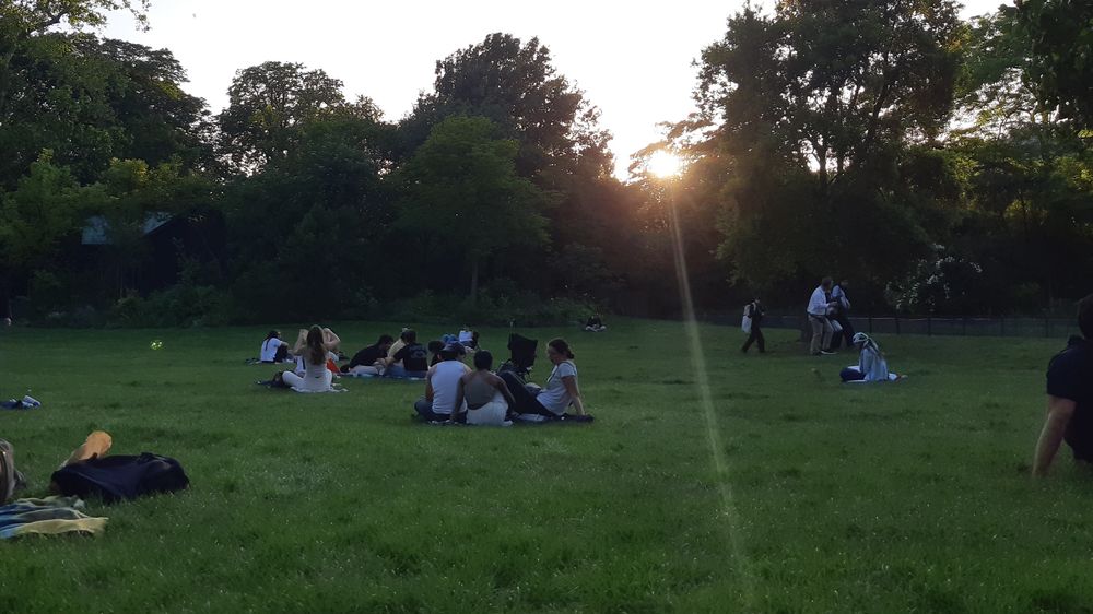 Piknik sous les étoiles