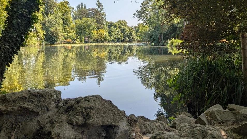 🕊️ Balade ruisseaux et lacs Bois de Vincennes 🏞️