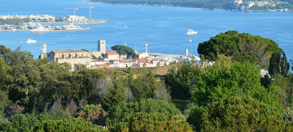 PALME D'OR CANNES 2024