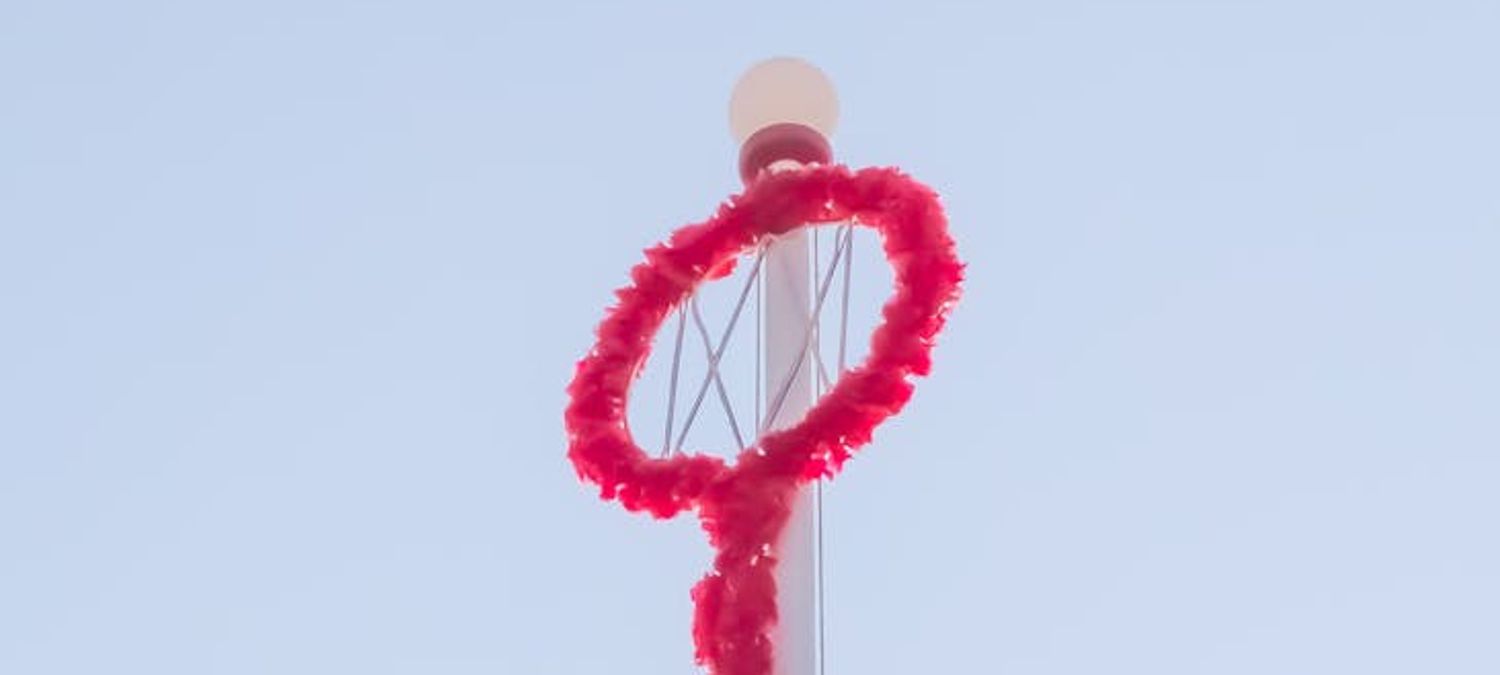 Festival des dramagouines