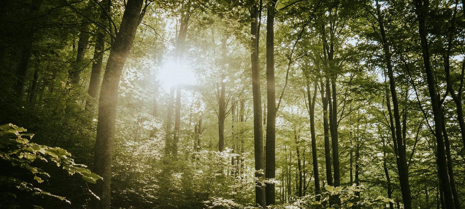 Randonnée pédestre aux environs de Coulommiers (18 km)
