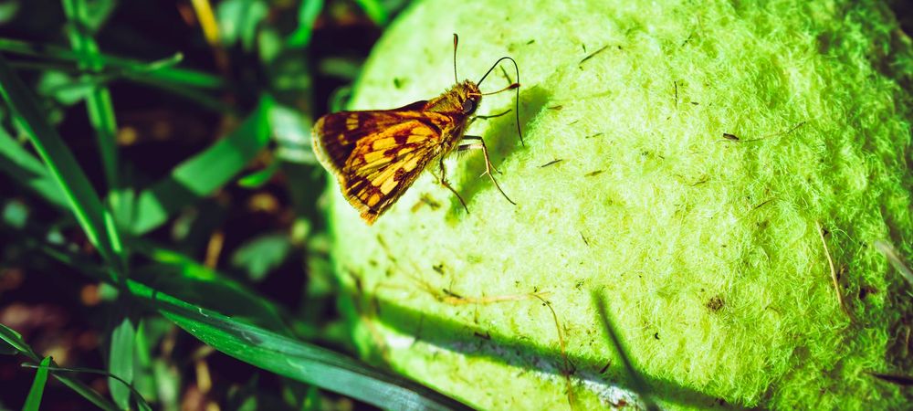 padel debutants, queers neurodivergent, mais cute 🧚🏻‍♀️