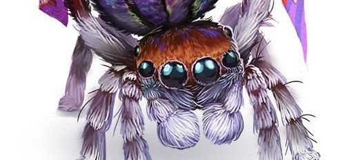 Soirée Jeux de Rôles pour toustes !