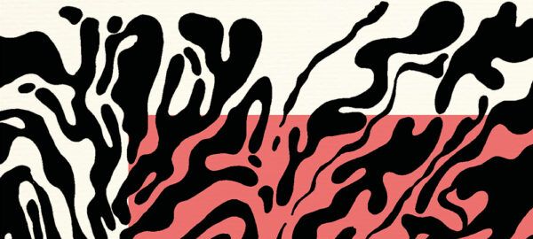 Contre l'écologie de guerre (Vincent Rissier)