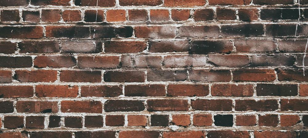 🌕 Soirée immersive – Les loups garous du Speechless 🐺🌈