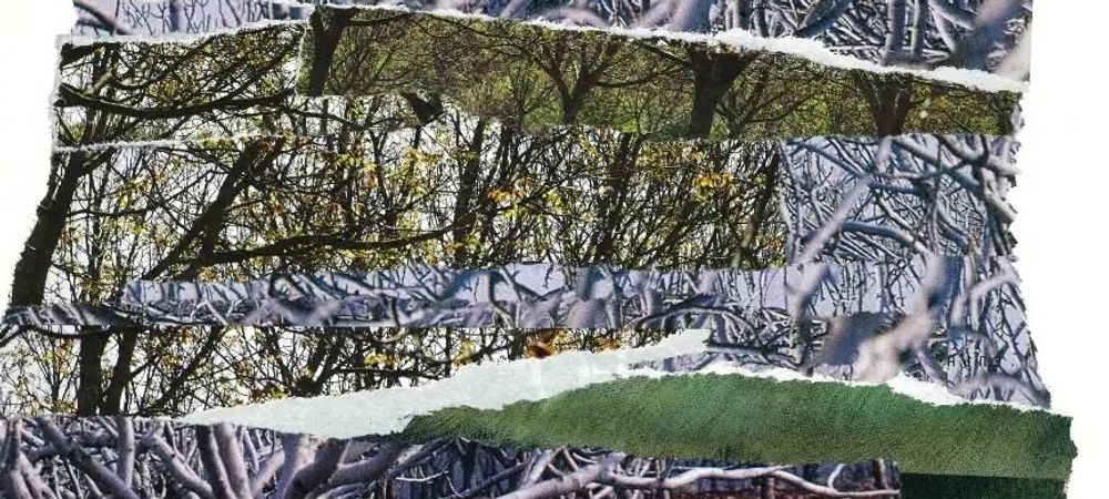 Collages Errants