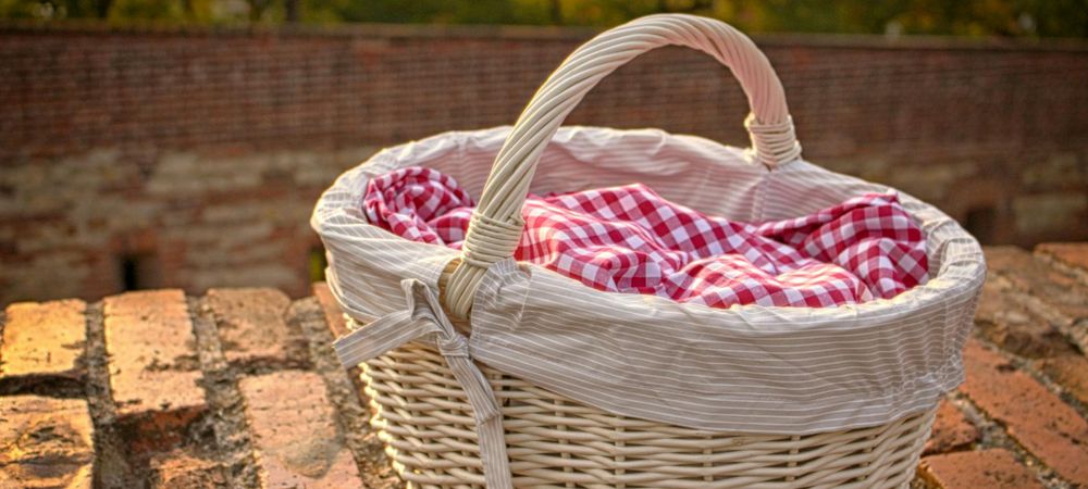 Pique nique, jeux de société et jeux farfelus