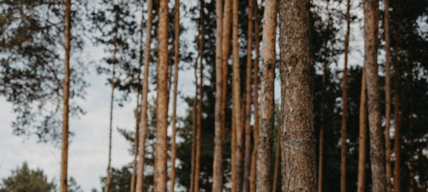 Soirée electro Stand with Lebanon