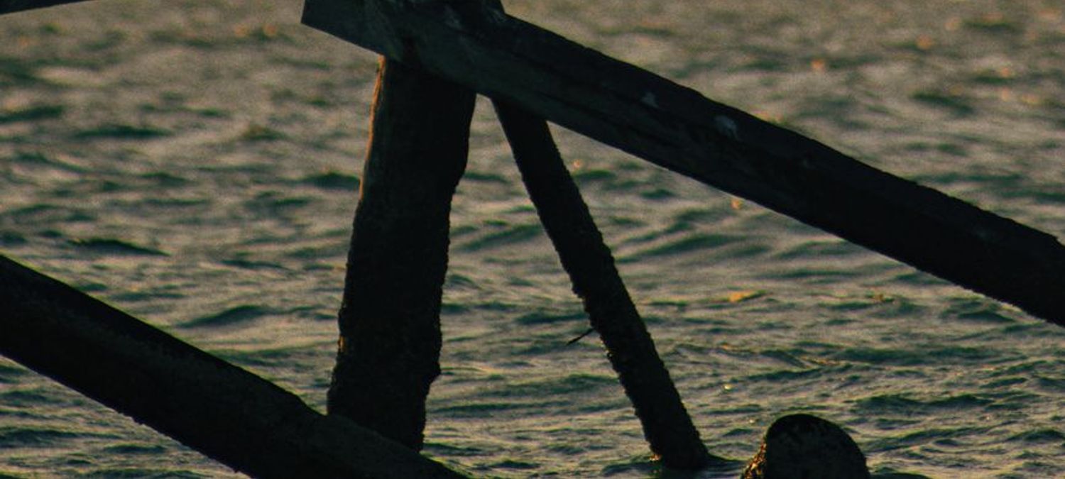 pelicanto