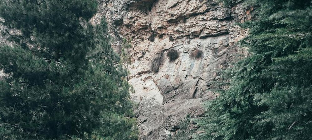Randonnée coulée verte de Malakoff au parc de Sceaux via Massy