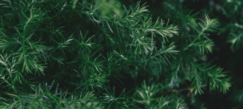 Webinaire - Les habitudes saines, comment les tenir (vraiment)