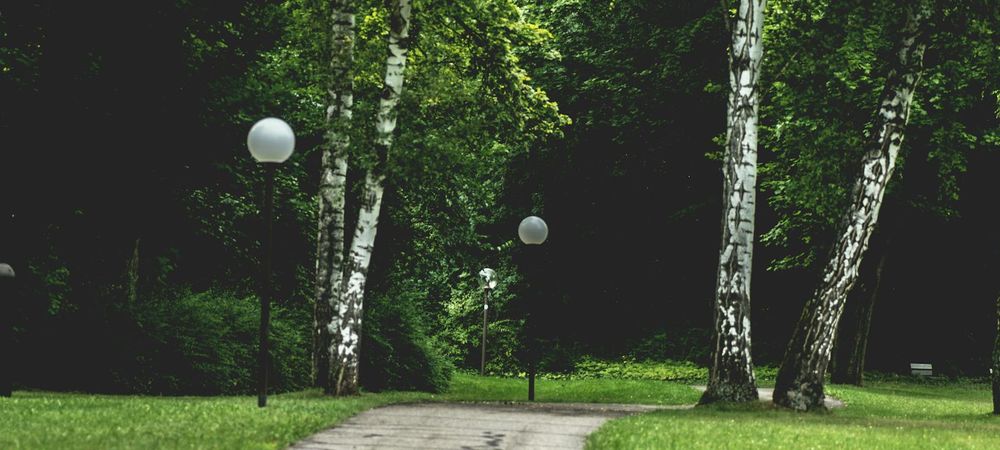 Molkky et jeux de société au Parc