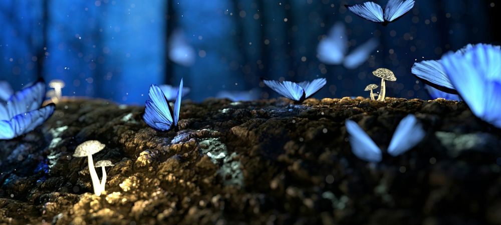 Soirée Jeux de Rôles pour tous niveaux