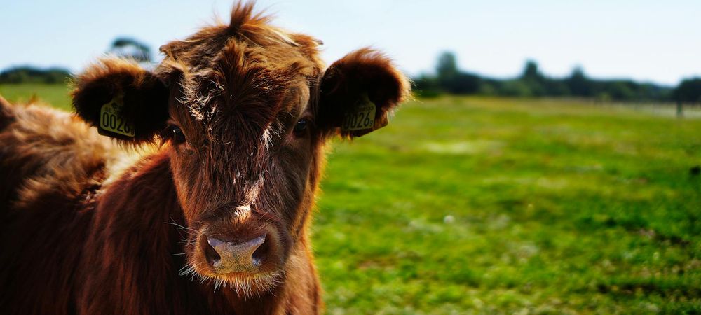 Soirée Jeux de Rôles entre queers