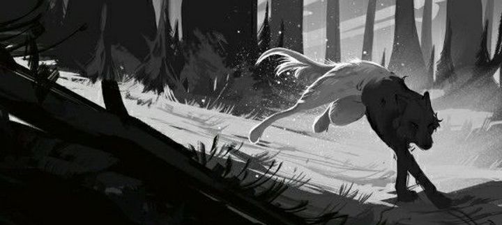 🌕   🌕🐺 Soirée Loup Garou 🐺🌕