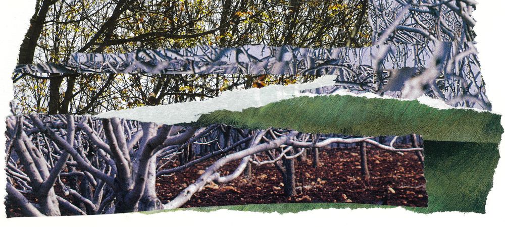 Collages Errants