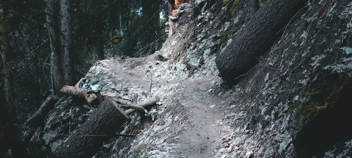 🌿 VIBES HIKE #1 — Saint-Germain Edition