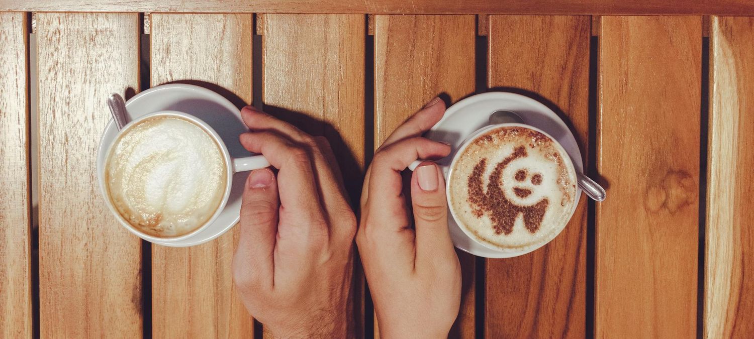 Café créatif 4 🎨