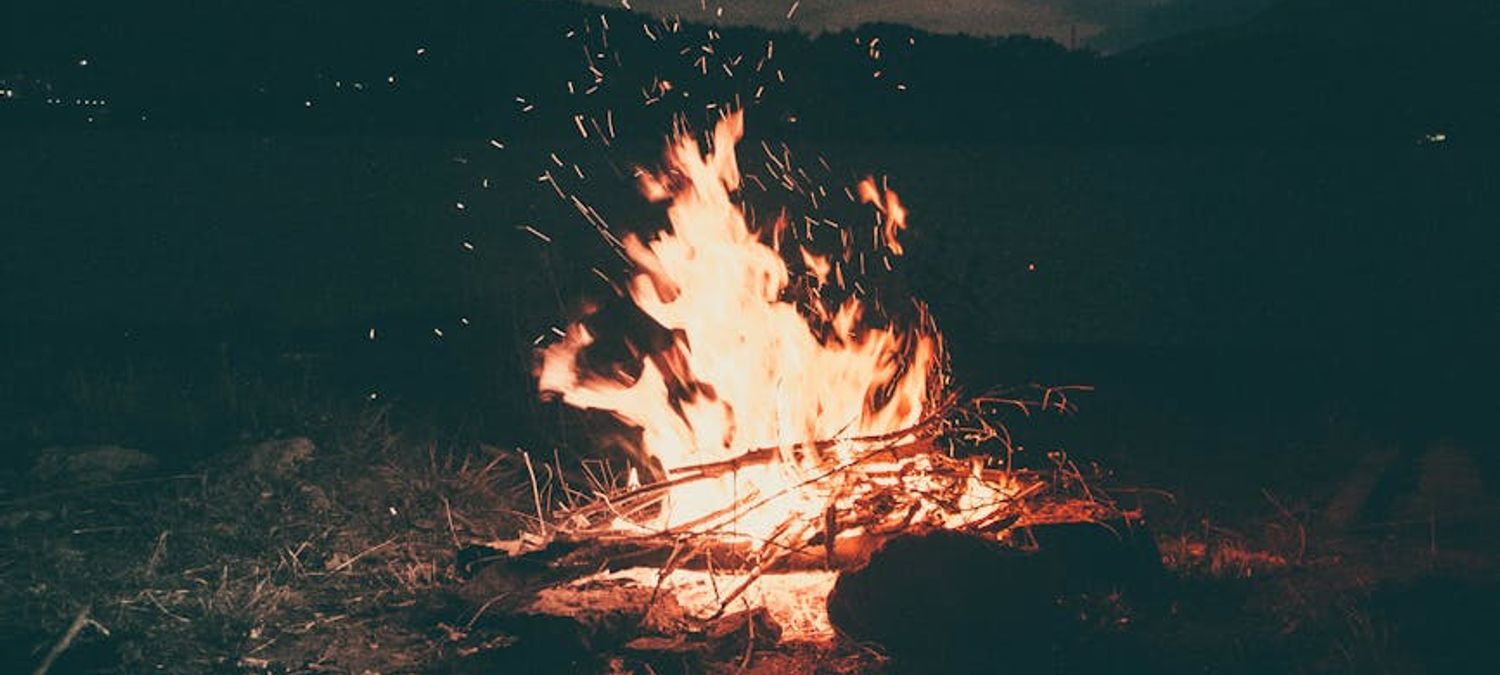 Bivouac, châtaignes et champipi