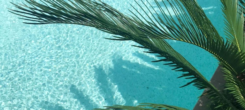 Un été à l’Epau Les Siestes Teriaki