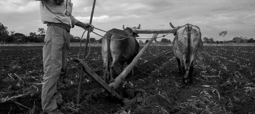 Vieilles Charrues 2026 - Jour 3