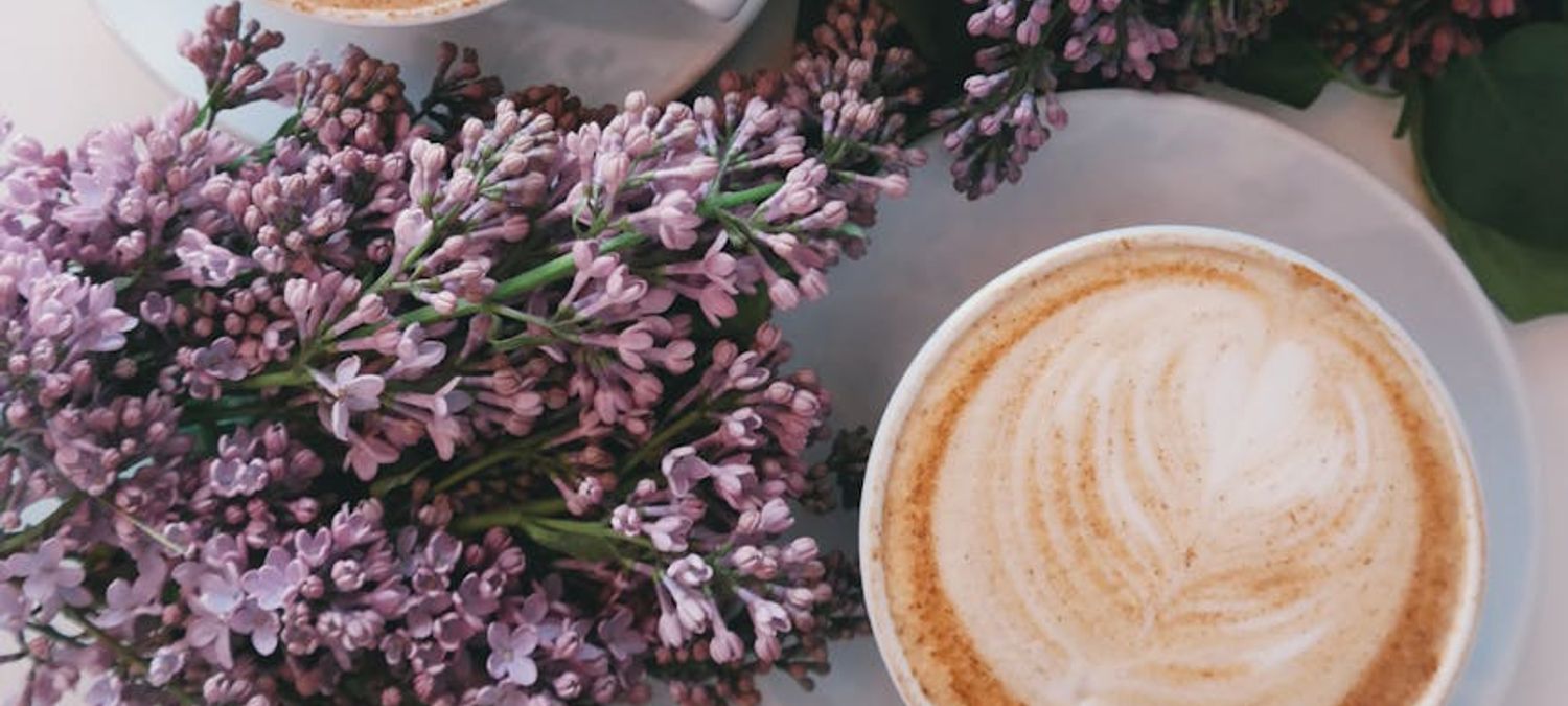 Café créatif et/ou escalade