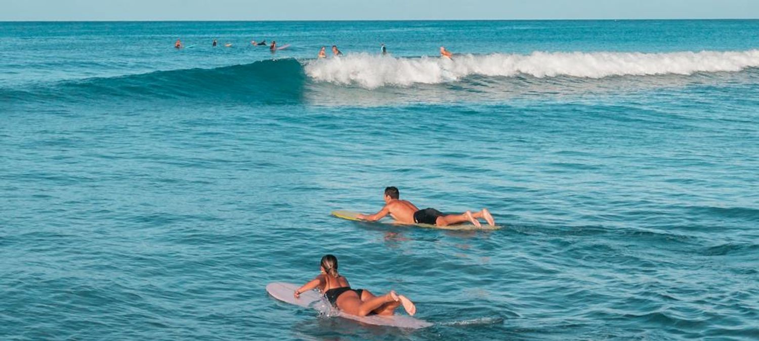 Surf