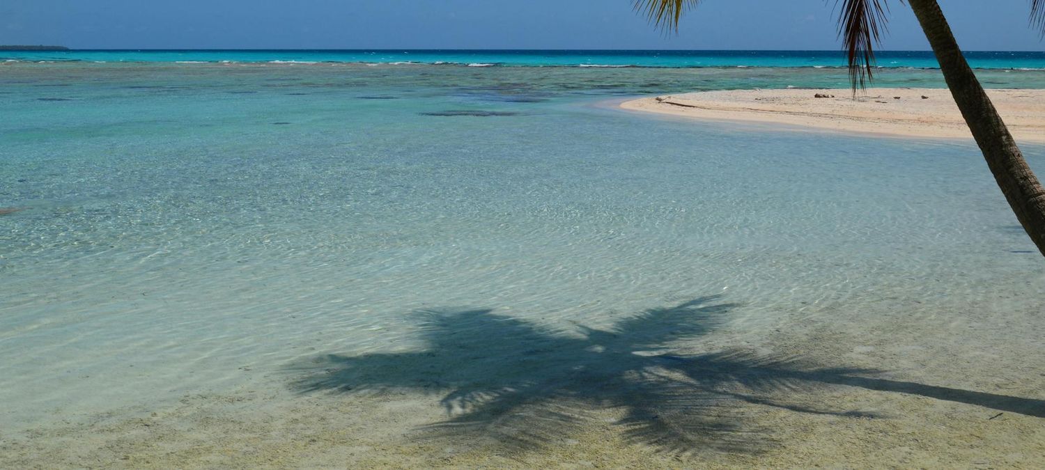 Caribbean Tank - Gratuit filles avant minuit 🌺