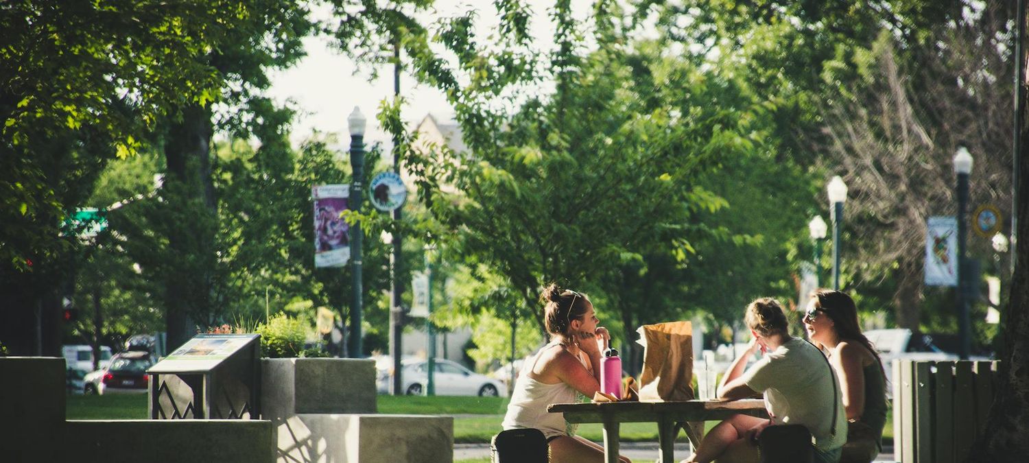 Pique-nique 🧺 🃏🌞