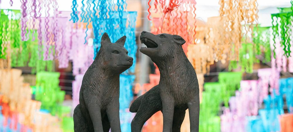 2 villages loups garou