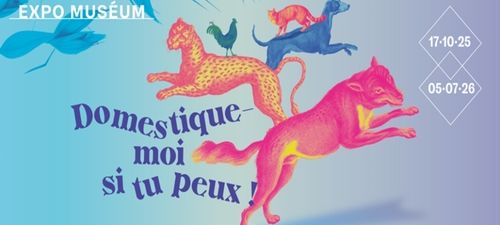 🌶️ Domestique moi Si tu peux !