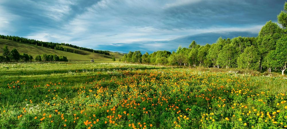 Sortie aux prairies St Martin