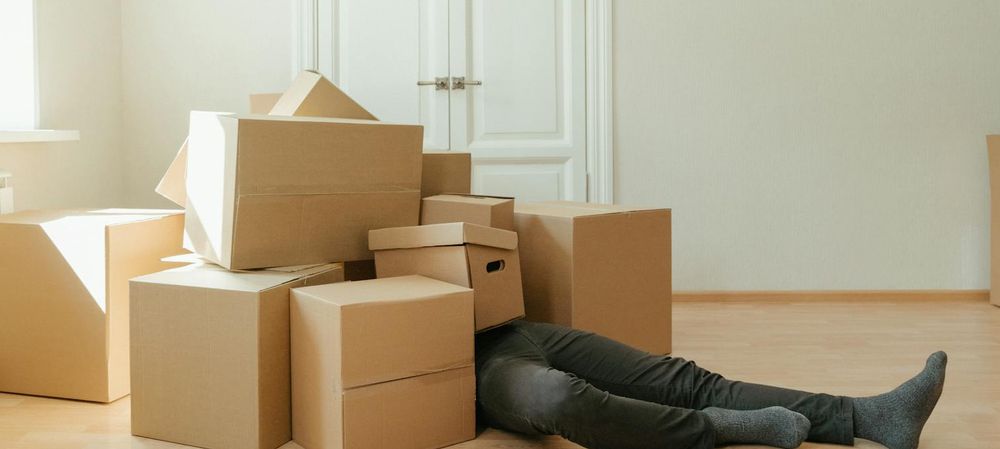 Déménagement Maison de la Diversité