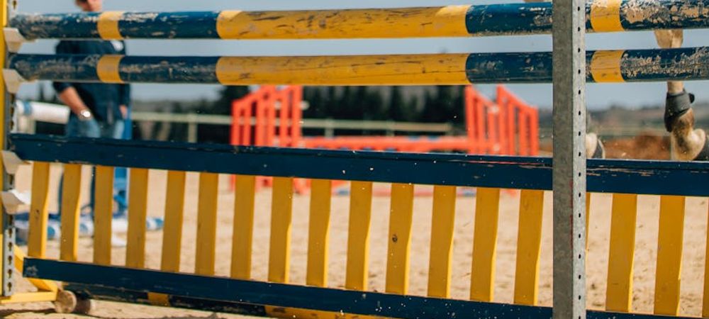 ⚠️ 🥳 Pic nic Jeux olympiques course de bateaux festifs événement anniversaire
