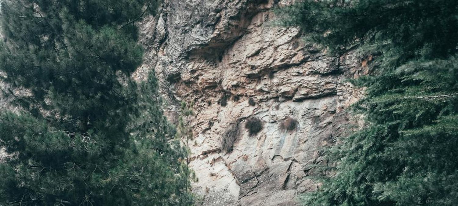 Randonnée coulée verte de Malakoff au parc de Sceaux via Massy