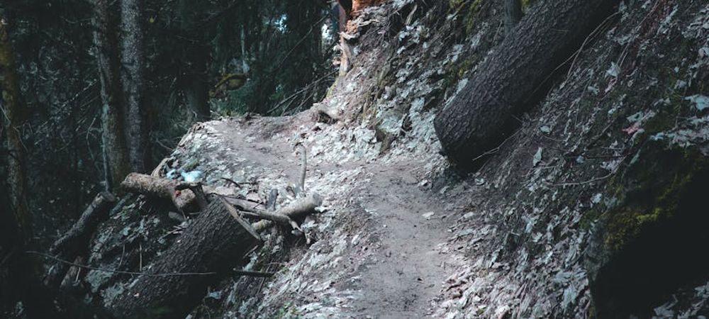 🌿 VIBES HIKE #1 — Saint-Germain Edition