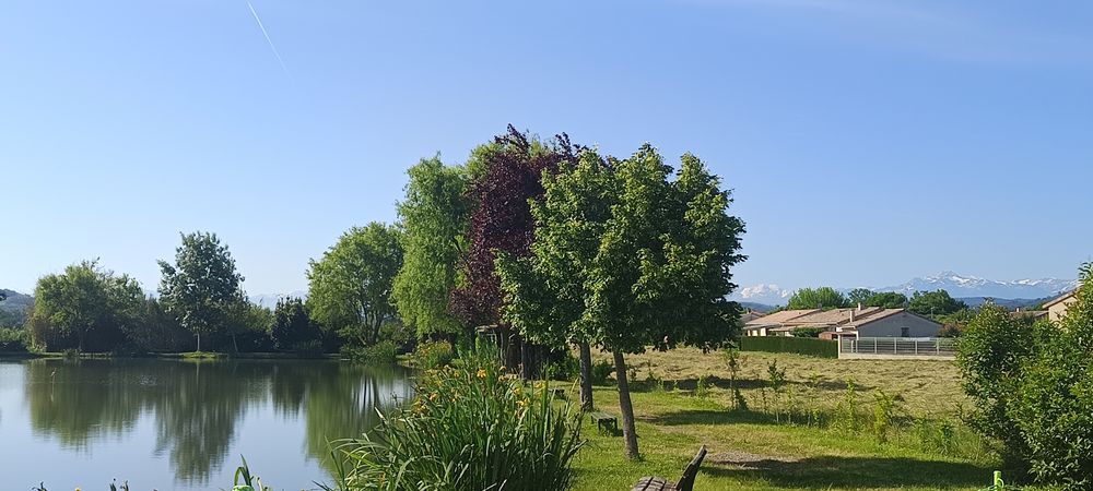 Picnic apéro - auberge espagnole