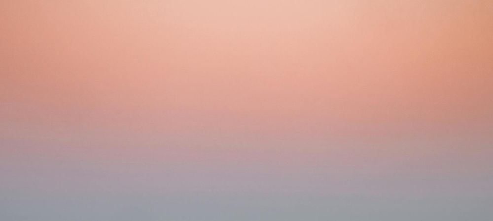 Permanence Trans des vendredis au Bocal