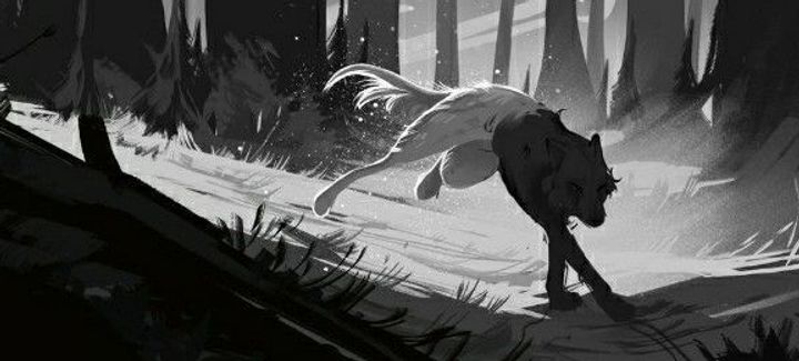 đđș SoirĂ©e Loup Garou đșđ