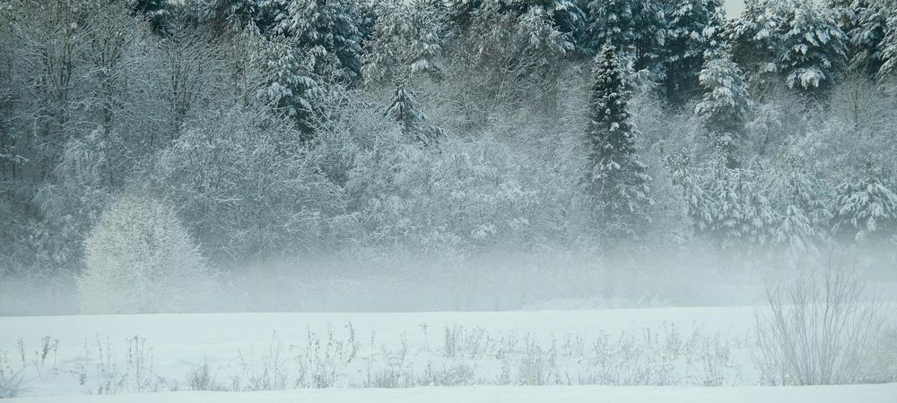 🌿 Balade au Grisard