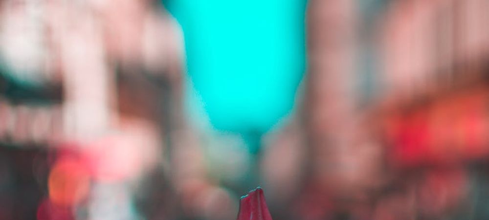 Sortie manger une glace