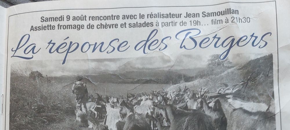 Film + rencentre + assiete de fromage