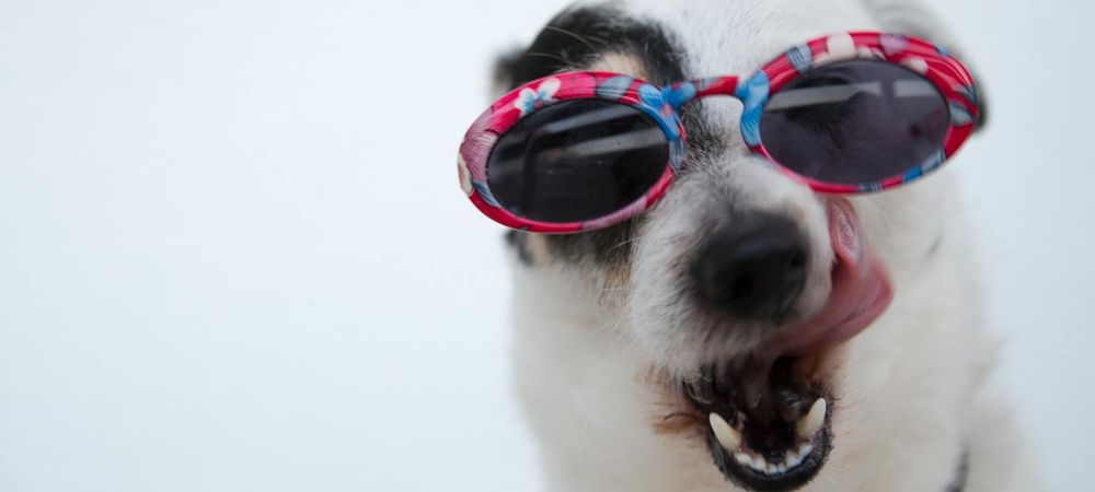 Atelier Improvisation 🌺🪇