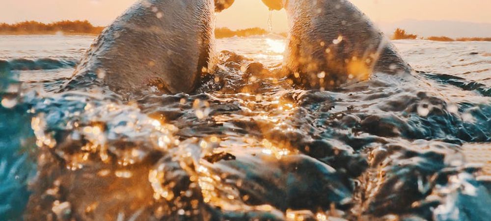 Mardi, c'est toujours piscine