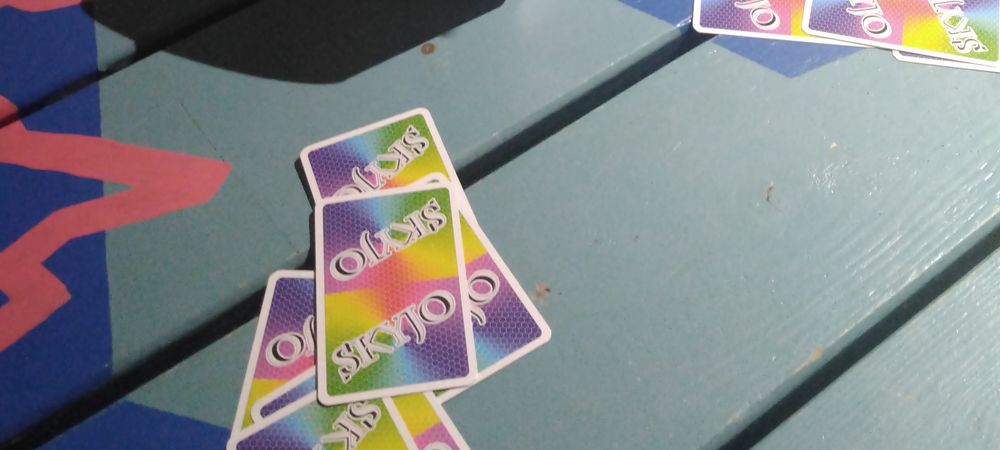 Soirée Skyjo
