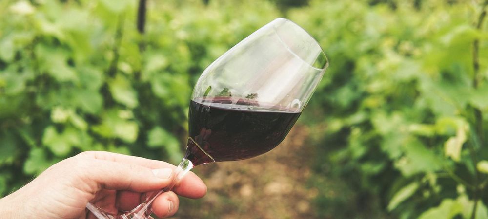 Salon des vins et des vigneron-nes indépendant-es